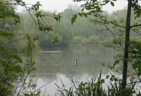 Alderson Large Lake