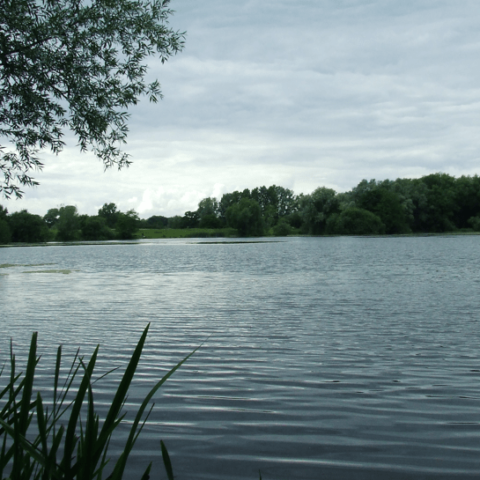 Causeway Lake