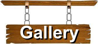 gallery new