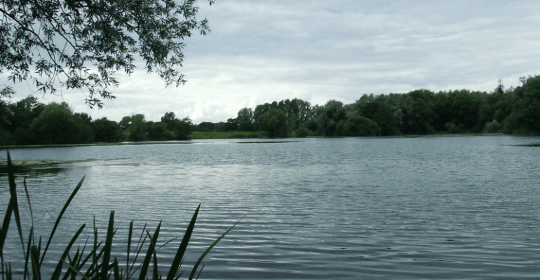 GAPS is now the proud owner of Causeway Lakes