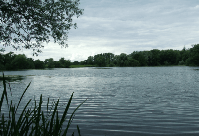 GAPS is now the proud owner of Causeway Lakes